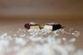 Closeup protein bar in the cut sprinkled with rice flakes on the baking paper, Teflon paper, Diet snacks, sports nutrition. Whey p Royalty Free Stock Photo