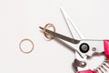 Closeup of pruner and wedding rings. Concept of wedding canceling or divorce.