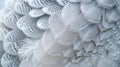 Closeup of a ptarmigans intricate patterns of white and grey feathers resembling delicate snowflakes Royalty Free Stock Photo