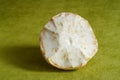 Closeup of pulp of celeriac root cut in half Royalty Free Stock Photo