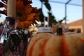 Closeup of a pumpkin on holiday celebration table Royalty Free Stock Photo