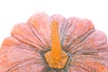 Closeup pumpkin over white background