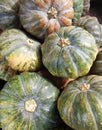 Closeup of pumpkins , Binan wholesale market