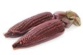 Purple corn ,texture and background