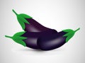 Closeup of purple eggplant on grey background. Vector illustration design. Vegetarian dinner