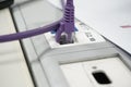 Closeup of a purple ethernet cable plugged into a socket Royalty Free Stock Photo
