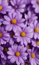 Closeup Of Purple Flowers On A Purple Background. Generative AI
