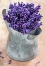 Closeup of purple lavender bouquet