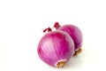 Close-up, purple, onion, white background, vegetables Royalty Free Stock Photo