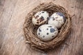 Quail eggs in nest top vieuw on wooden table backgrou