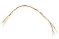 Closeup of raffia rope