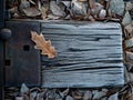 Closeup railroad tie with frost and a leaf