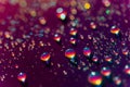 Closeup rainbow drops of water on a vibrant purple background with sparkling bokeh Royalty Free Stock Photo