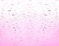 Closeup raindrops on glass and blurry pink background Royalty Free Stock Photo