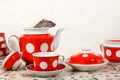 Closeup a rat sits and looks out from teapot. Red tea set on countertop at kitchen in an apartment house.