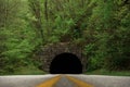 Closeup of Rattlesnake mountain tunnel with green trees Swain county, North Carolina