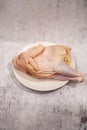 raw chicken on white plate on gray cement background