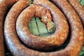 Closeup of raw coiled ham and garlic sausage