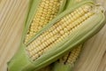 Closeup of raw corn cobs with straw over wood Royalty Free Stock Photo