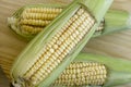 Closeup of raw corn cobs with straw over wood Royalty Free Stock Photo