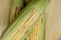 Closeup of raw corn cobs with straw over wood Royalty Free Stock Photo