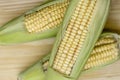 Closeup of raw corn cobs with straw over wood Royalty Free Stock Photo