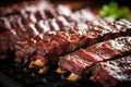 closeup of raw memphis-style bbq ribs