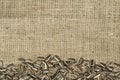 Closeup raw sunflower seeds on burlap Royalty Free Stock Photo