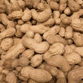 Closeup of raw unshelled cashew nuts