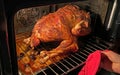 Closeup of ready-roasted spiced whole 13 pounds (6 kg) turkey on grid in electric kitchen oven over drip tray