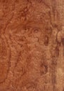 Closeup real natural wood grain of veneer background and texture, Pattern for decoration. Blank for design. Royalty Free Stock Photo