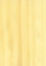 Closeup real natural wood grain of veneer background and texture, Pattern for decoration. Blank for design. Royalty Free Stock Photo