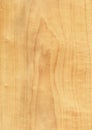 Closeup real natural wood grain of veneer background and texture, Pattern for decoration.