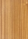 Closeup real natural wood grain of veneer background and texture, Pattern for decoration.