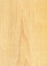 Closeup real natural wood grain of veneer background and texture, Pattern for decoration. Royalty Free Stock Photo