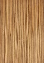 Closeup real natural wood grain of veneer background and texture, Pattern for decoration. Blank for design. Royalty Free Stock Photo