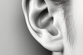 Closeup realism, Human ear in black and white, finely detailed Royalty Free Stock Photo