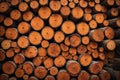 closeup realistic stacked loggs of fire wood texture background. ai generative