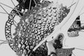 Closeup Rear bike cassette gear