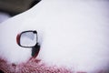 Rear view mirror covered with snow.