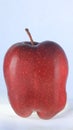 Closeup of red apple, front view, healthy juice, organic fruit, freshness