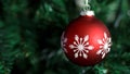 Closeup of red bauble hanging on decorated Christmas and New Year tree Royalty Free Stock Photo