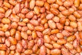Closeup of red bean, background - Royalty Free Stock Photo