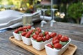 Closeup of red cherry tomatoes with fresh basil and mozzarella cheese. Appetizers sprinkled with salt and pepper, served on small Royalty Free Stock Photo