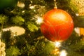 Closeup of a red Christmas bauble hanging on a Christmas tree Royalty Free Stock Photo