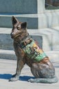 Closeup of Red Cross Soldier Dog