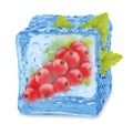 Closeup of red currant in ice cube Royalty Free Stock Photo