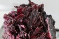 Closeup, red erythrite crystals. Gray background. Royalty Free Stock Photo