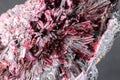 Closeup, red erythrite crystals. Gray background. Royalty Free Stock Photo