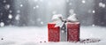 Closeup of a red gift box with a white bow on top against a cold